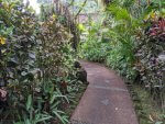 costa rica 101_3