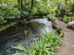 costa rica 101_6