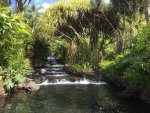 costa rica 101_8