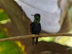 costa rica 15_2
