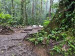costa rica 44_2