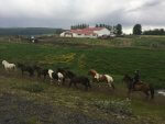 Iceland landscapes 102