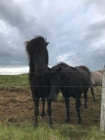 Iceland landscapes 104