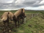 Iceland landscapes 105