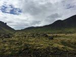 Iceland landscapes 87