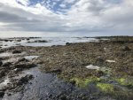 Iceland landscapes 90